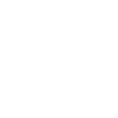 SCA LP icons_FAST_ FLEXIBLE SETTLEMENT